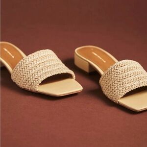 The Coralie Mule Slide Sandals by Maeve, Size 37